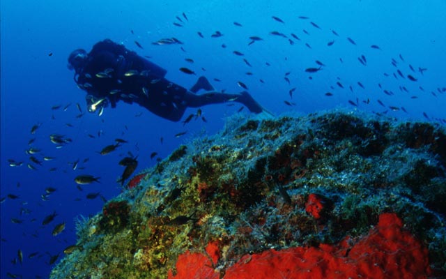 Northern Cyprus Scuba Diving