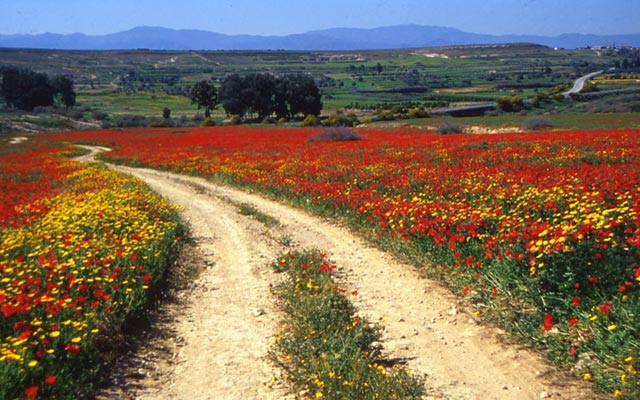 Spring in North Cyprus
